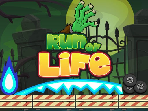 Run of Life Online Arcade Game