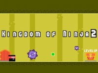 Kingdom of Ninja 2 Online Arcade Game