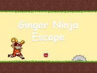 Ginger Ninja Escape Online Arcade Game