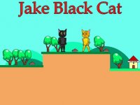 Jake Black Cat Online Arcade Game