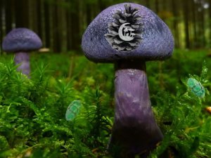 Mushroom Forest Adventure Puzzle Game - Memory Puzzle Game