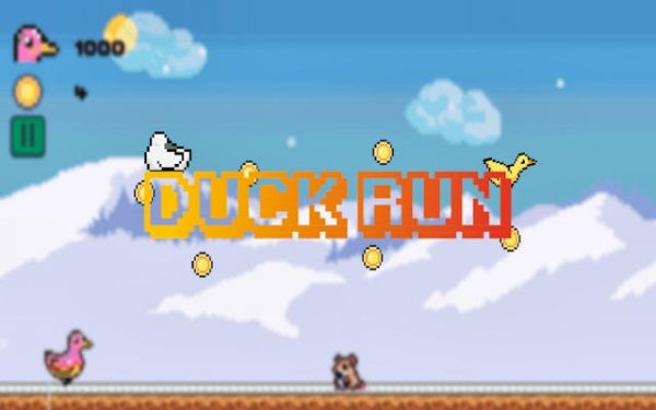 Duck Run Online Adventure Arcade Game